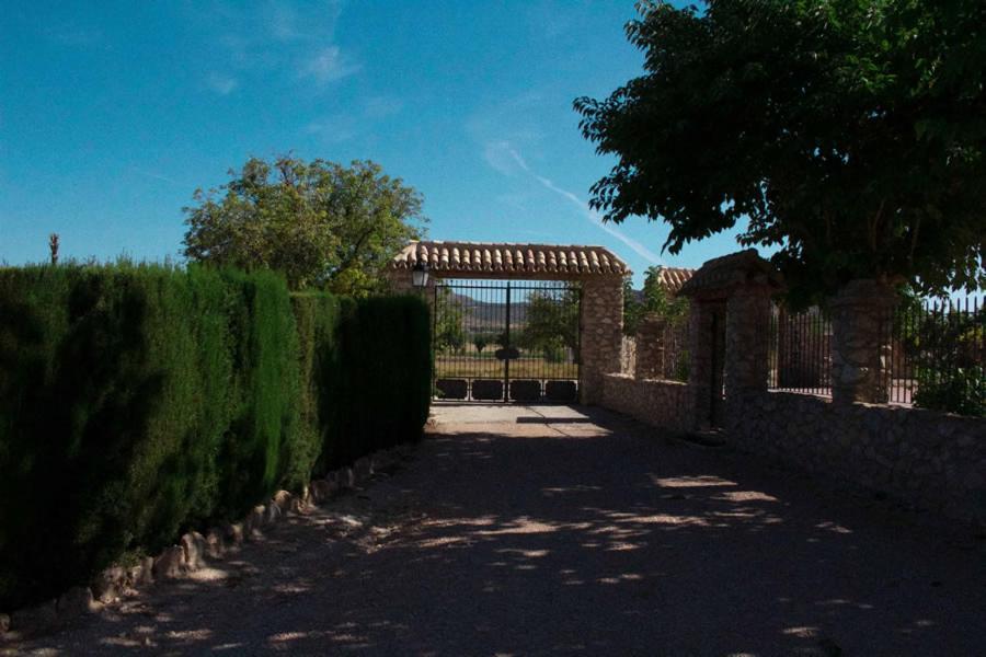 Cortijo De Abajo Villa Puebla De Don Fadrique Ngoại thất bức ảnh